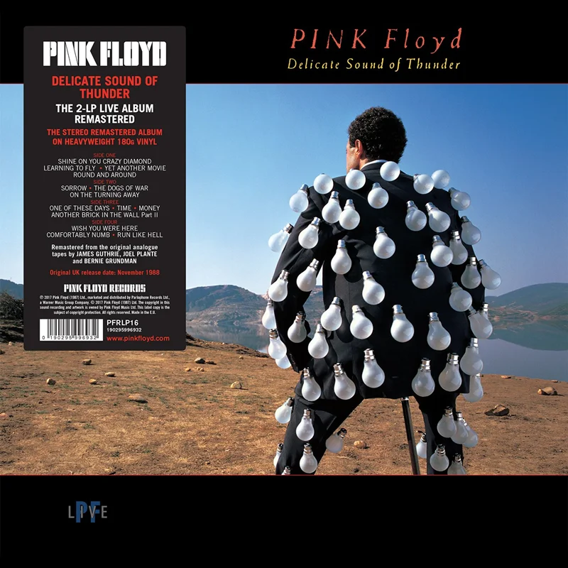 Pink floyd - delicate sound of thunder